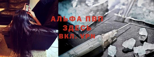 твердый Дмитриев