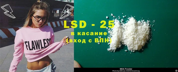 хмурый Гусь-Хрустальный