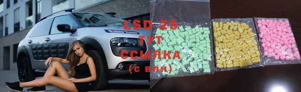 ПСИЛОЦИБИНОВЫЕ ГРИБЫ Дмитров