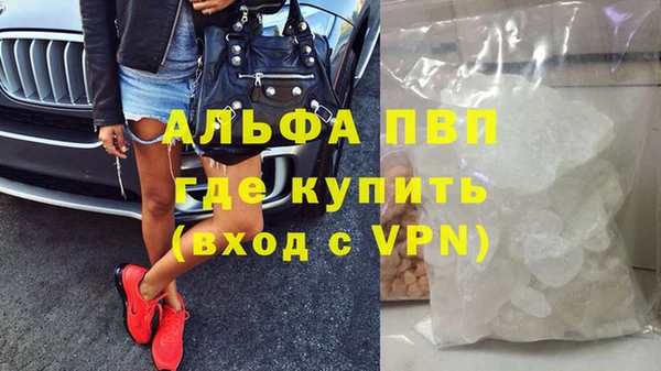 ПСИЛОЦИБИНОВЫЕ ГРИБЫ Дмитров