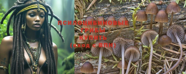 бутират Гусиноозёрск
