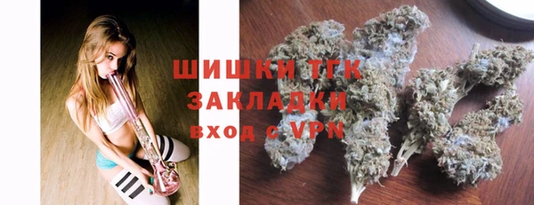 ПСИЛОЦИБИНОВЫЕ ГРИБЫ Дмитров