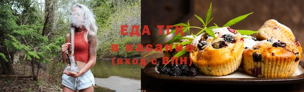 хмурый Гусь-Хрустальный