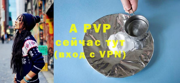 твердый Дмитриев
