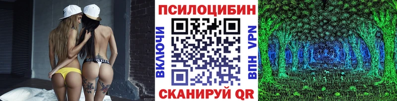 Галлюциногенные грибы Psilocybe  Купить  Курлово 