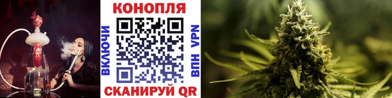 Марихуана White Widow  Купить где  Курлово 